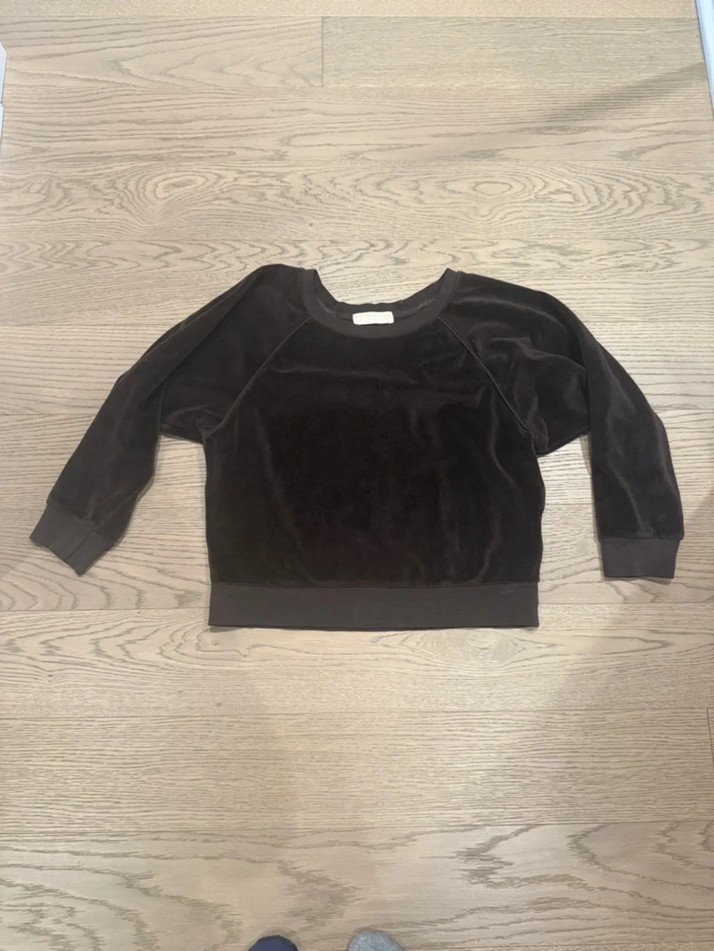 Suzi Kondi Women's Brown Velour Crewneck Sweatshirt - Picture 1 of 2
